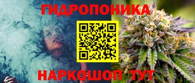твердый Краснознаменск